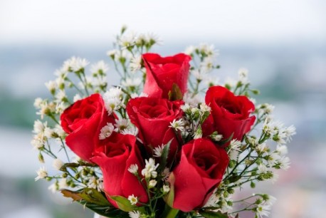 6 Red Roses