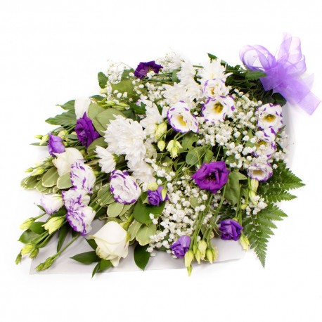 White Sympathy