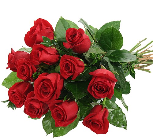 Dozen Red Roses