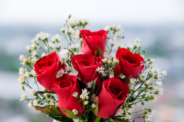 6 Red Roses