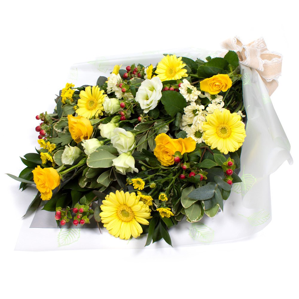 Yellow Sympathy
