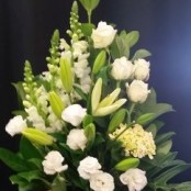 White Elegance